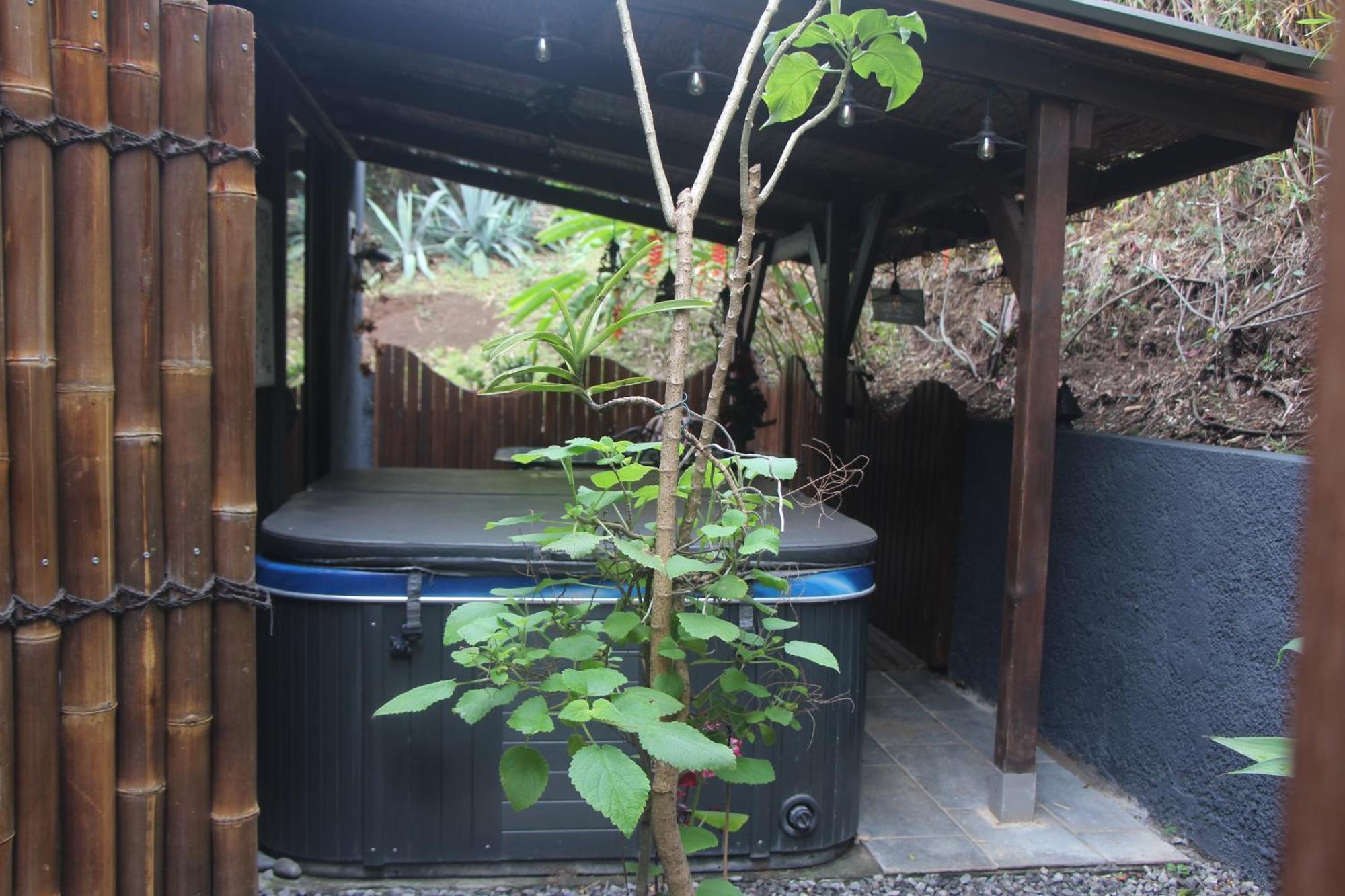La Liane De Jade 974-Lodge Le Palissandre - Jacuzzi Privatif - Piscine Chauffee Le Bois de Nefles  Bagian luar foto